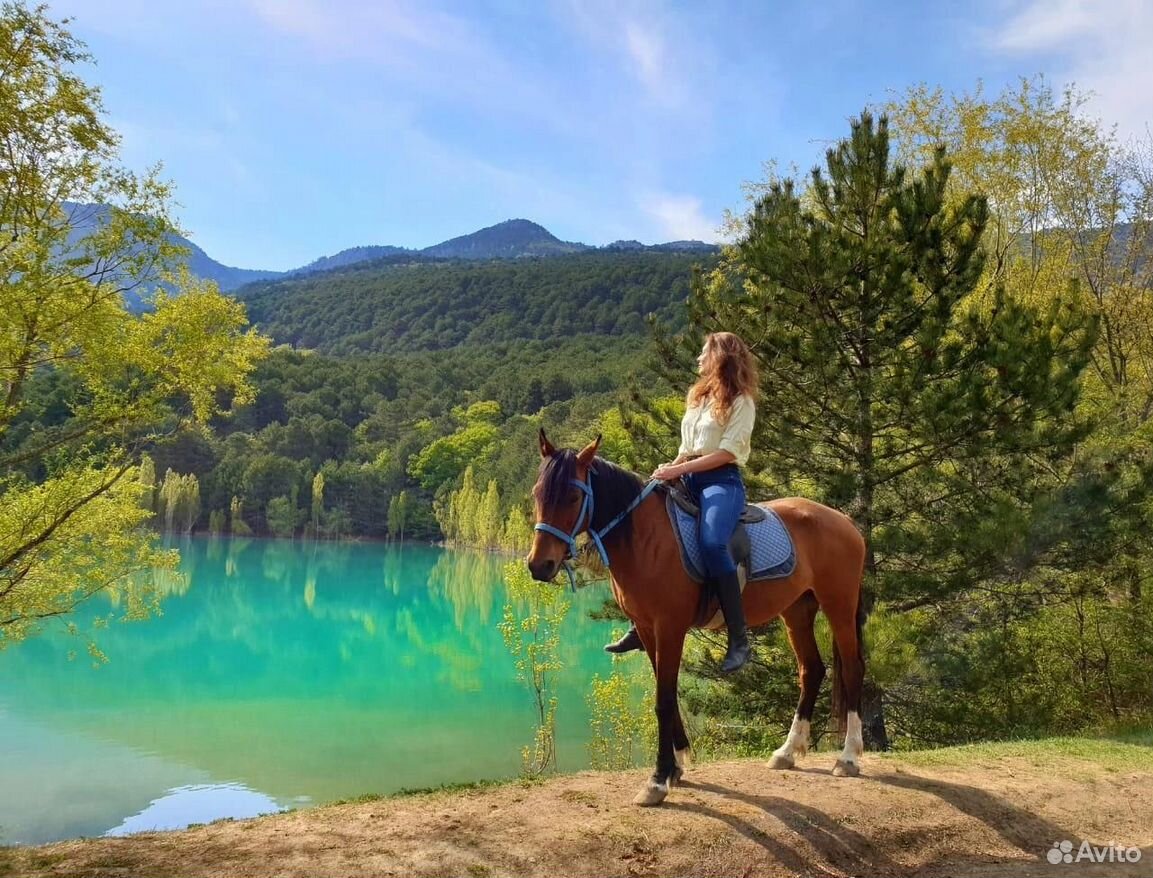 Конные прогулки